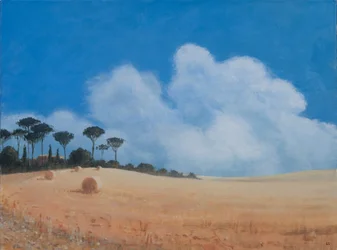 Landscape near Paganico